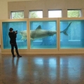 140-Damien-Hirst-Shark