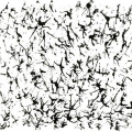 022-henri-michaux-1960
