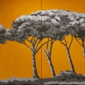 pn107-oxygen-and-light-farm-183x69-giorno