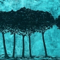 va47-il-respiro-della-terra-208x80-notte