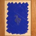 200-Anatra-30x38