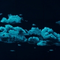 n59-songe-d-un-jour-de-printemps-20-251x184-notte