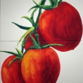 V109-Grappolo-di-Pomodori-123x171