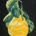 V133-Limone-di-Amalfi-35x50