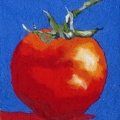 V187-Tomato-blu-16x21