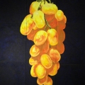 V4-Grande-Uva-186x249
