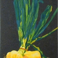 V8-Mazzo-di-Cipolle-62x84