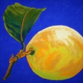 V94-Limone-con-una-foglia-84x62
