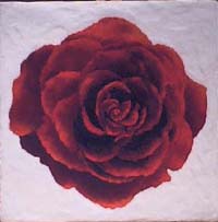 MandalinodiRosa-25x25-L