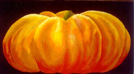 NY-zucca