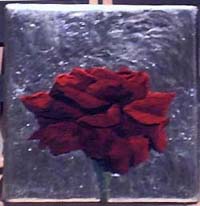 Rosa-25x25-fall-L