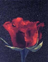 Rosa-25x32-L