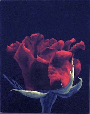 Rosa-69x87-L