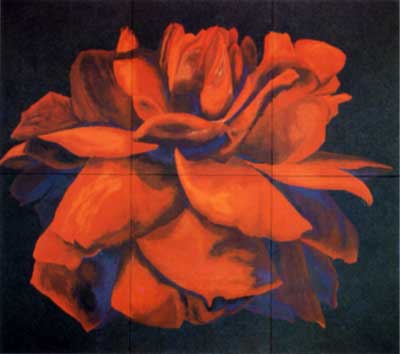 rosa1
