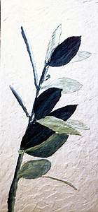 sliib11