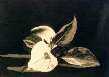 st-1
