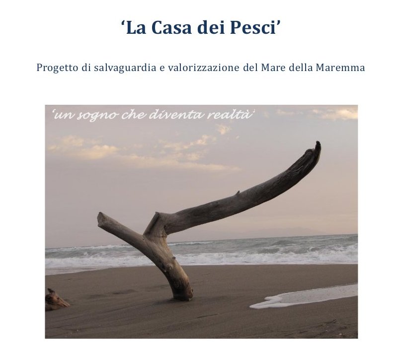 03 LCdP Progetto La Casa dei pesci1