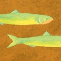 Due Alici - 36x17cm