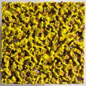 SA108-The-Flow-The-Soil-su-carta-20x20-giorno-2