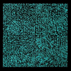 SA35-Allor si mosse e io li tenni dietro-127x124-notte