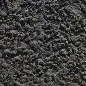 Il Bianco ed il Nero il Nero; cm.253x187; dettaglio