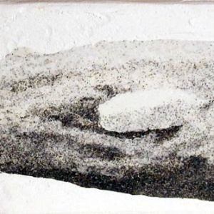 An77-Punti-invisibili-rincorsi-dai-cani-44x12-giorno