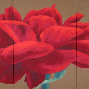 R95- Perle d'Or - 151x75