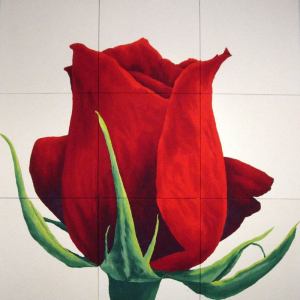 Rosa Baccarat - 186x191cm