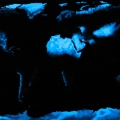 stc51-tutte-le-fabbriche-di-ossigeno-che-ci-restano-184x123-notte